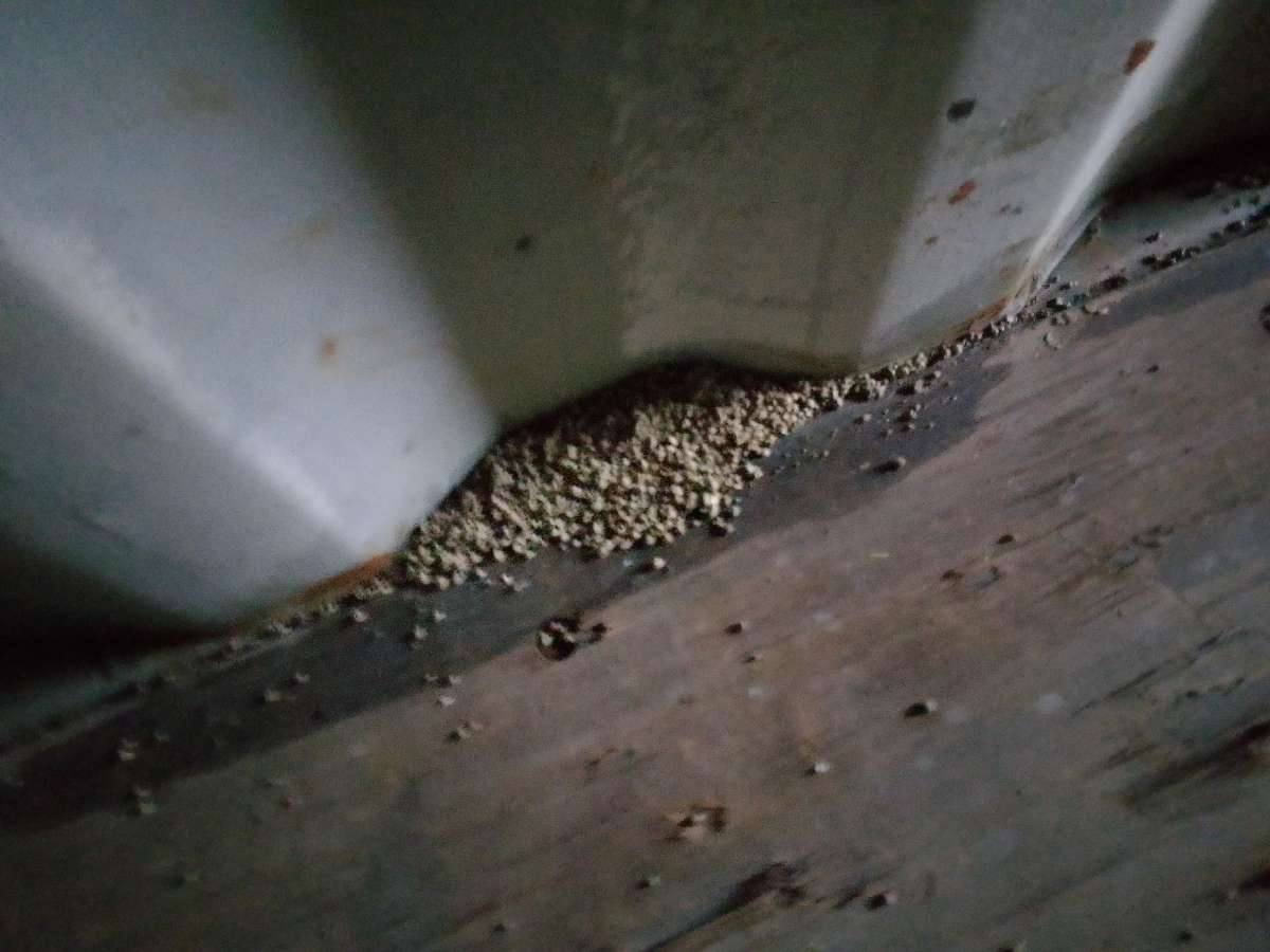 Морской контейнер AXIU2931971