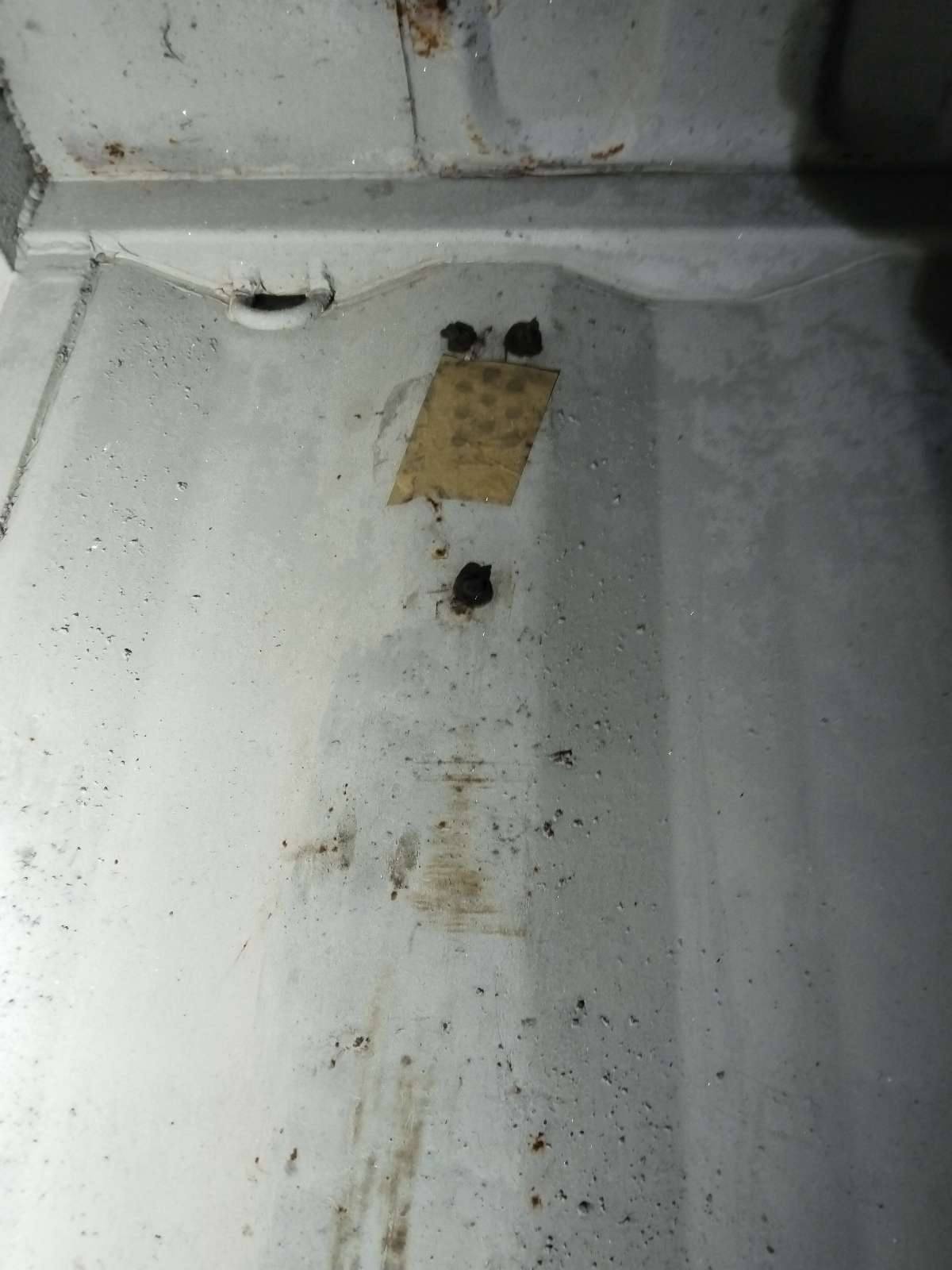 Морской контейнер BMOU2102662