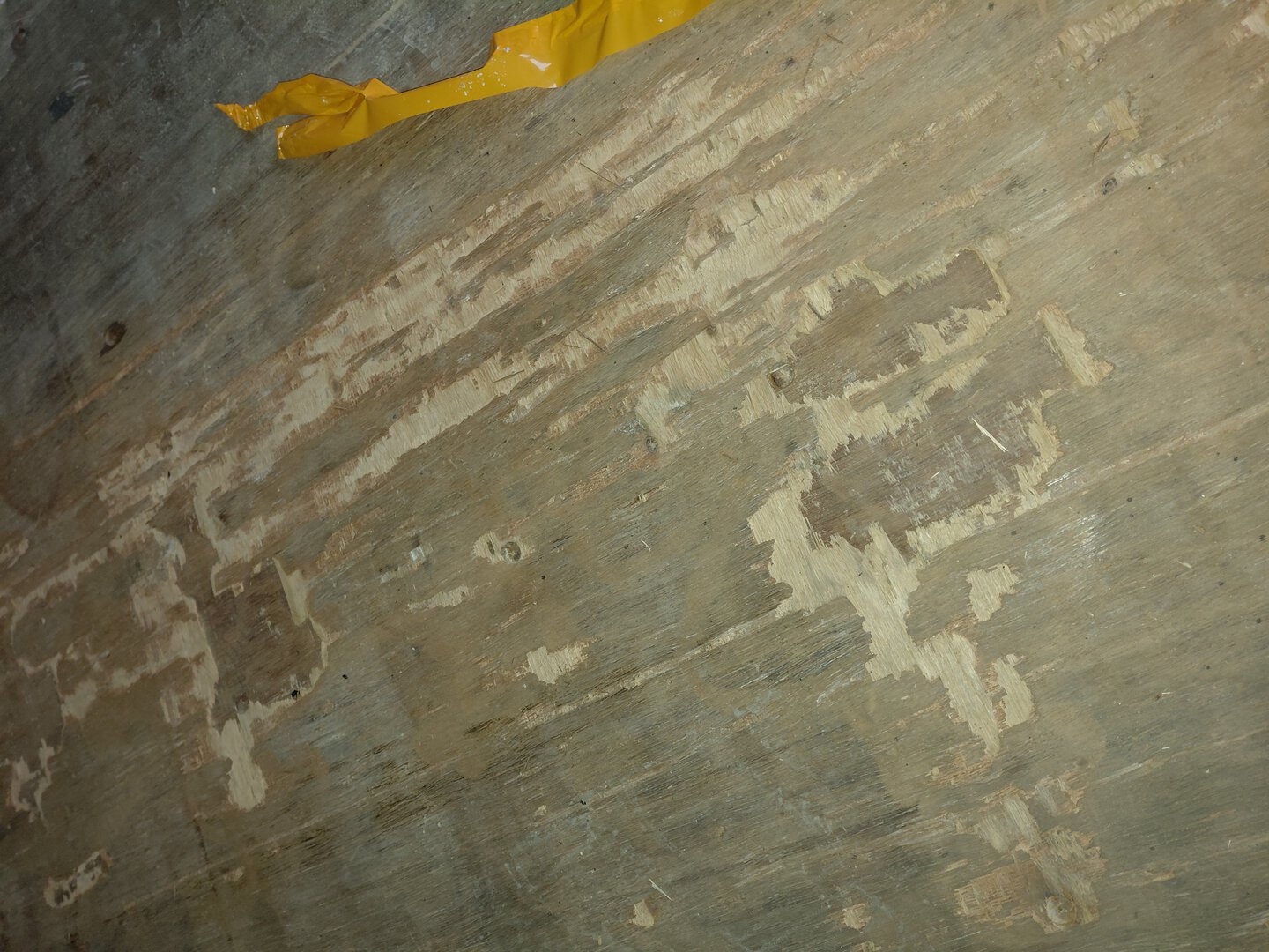 Морской контейнер BMOU2412605