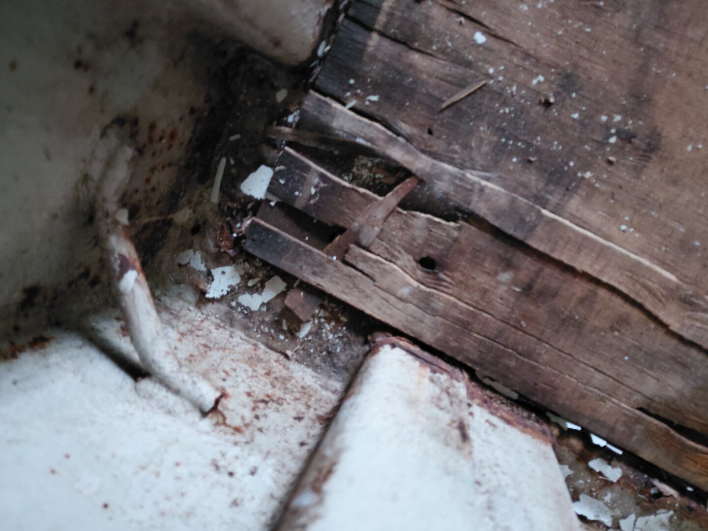 Морской контейнер BMOU2552628