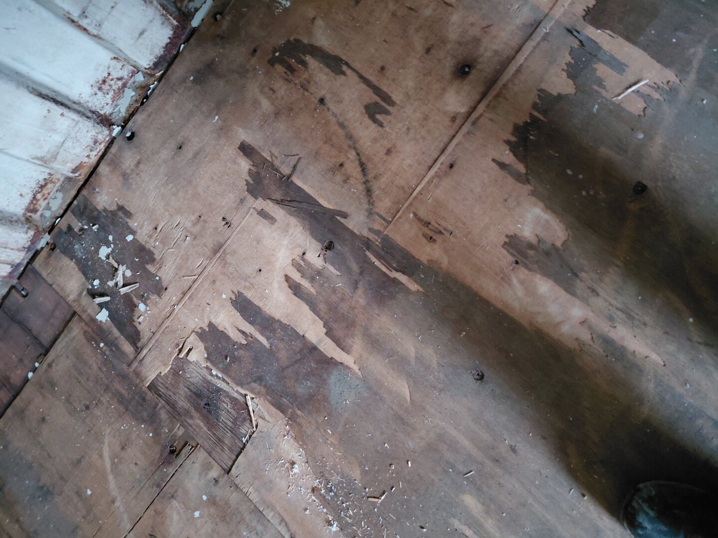 Морской контейнер BMOU2552628