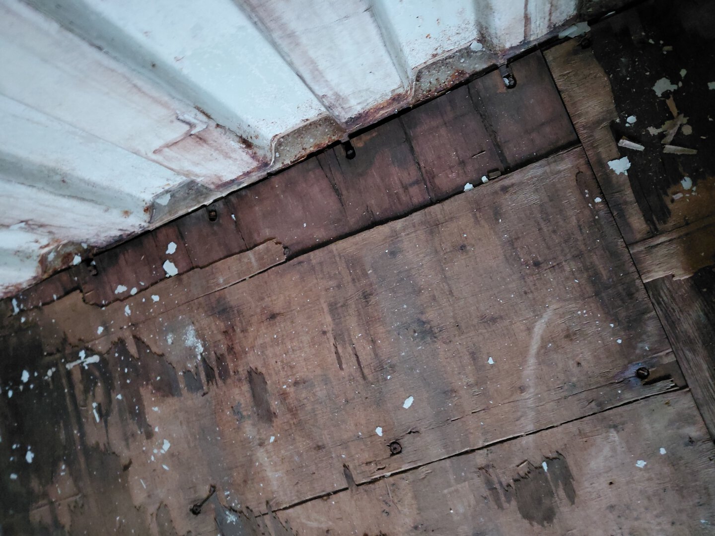 Морской контейнер BMOU2552628