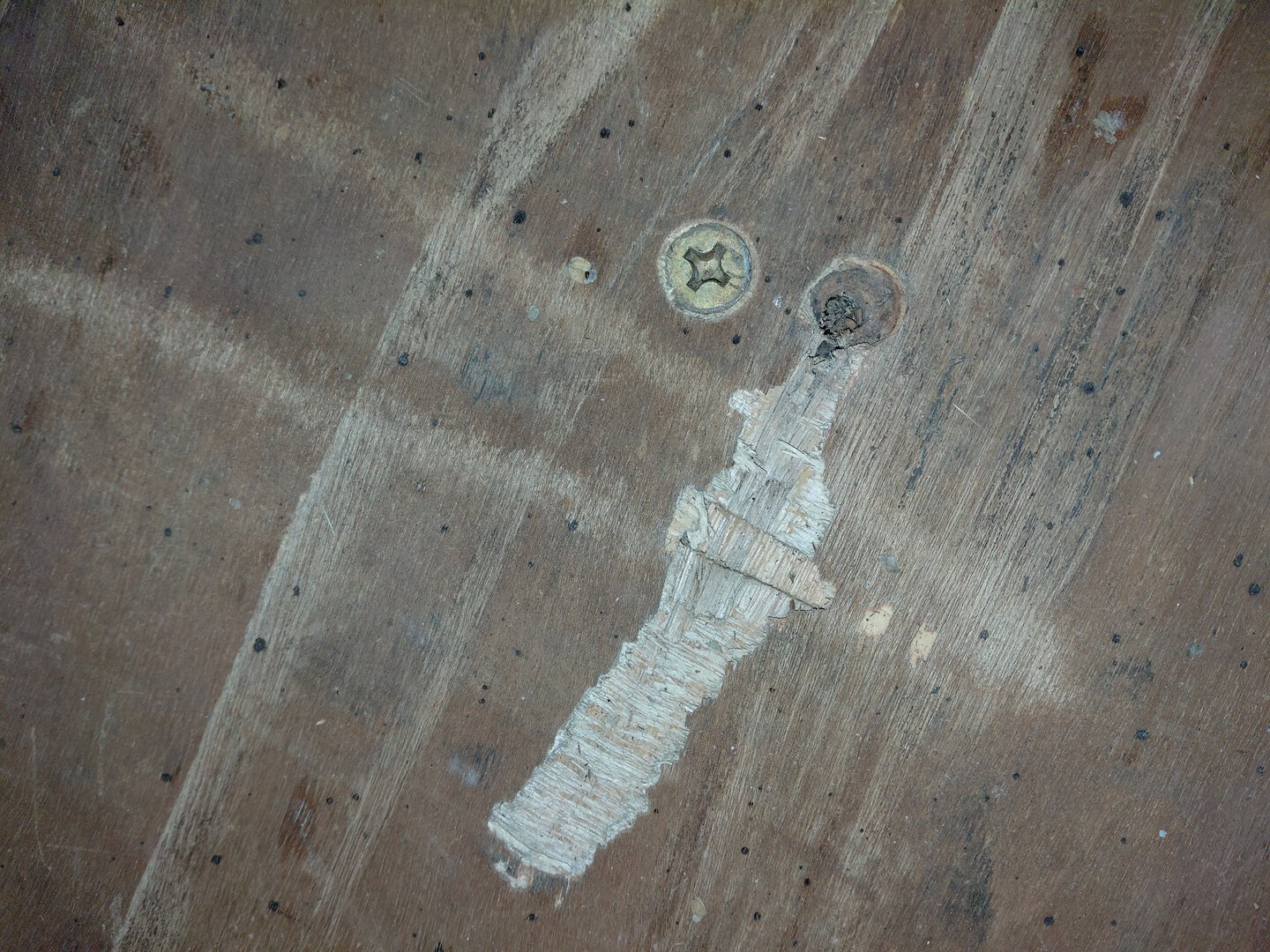 Морской контейнер BMOU2555273