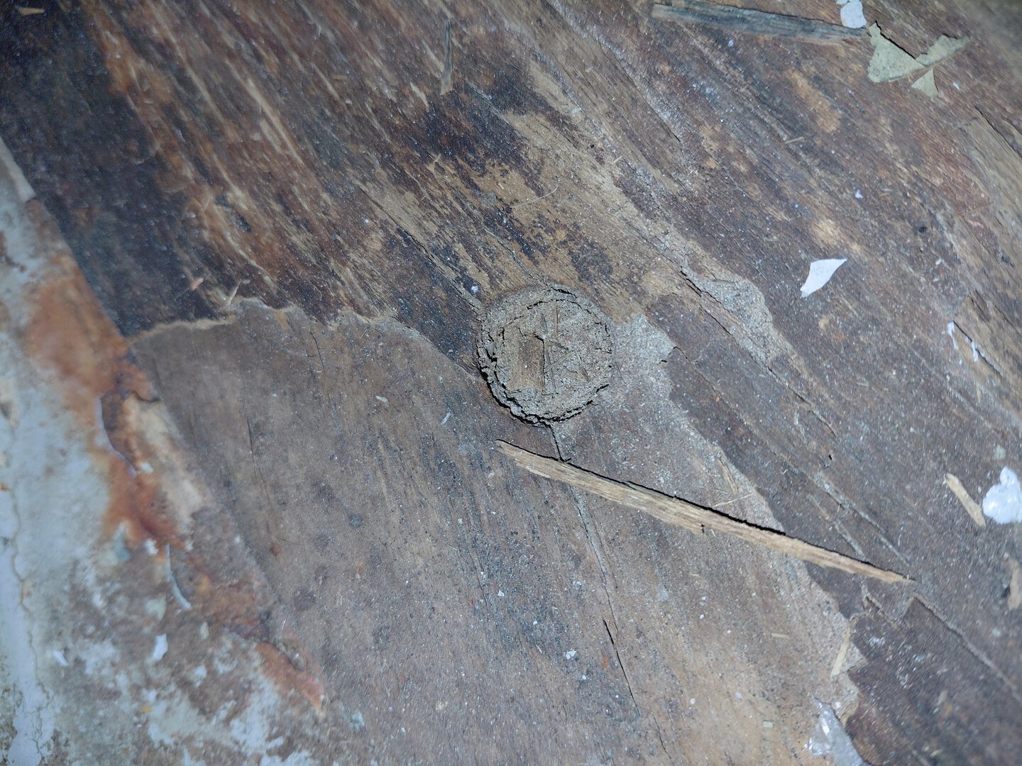 Морской контейнер BMOU2555273