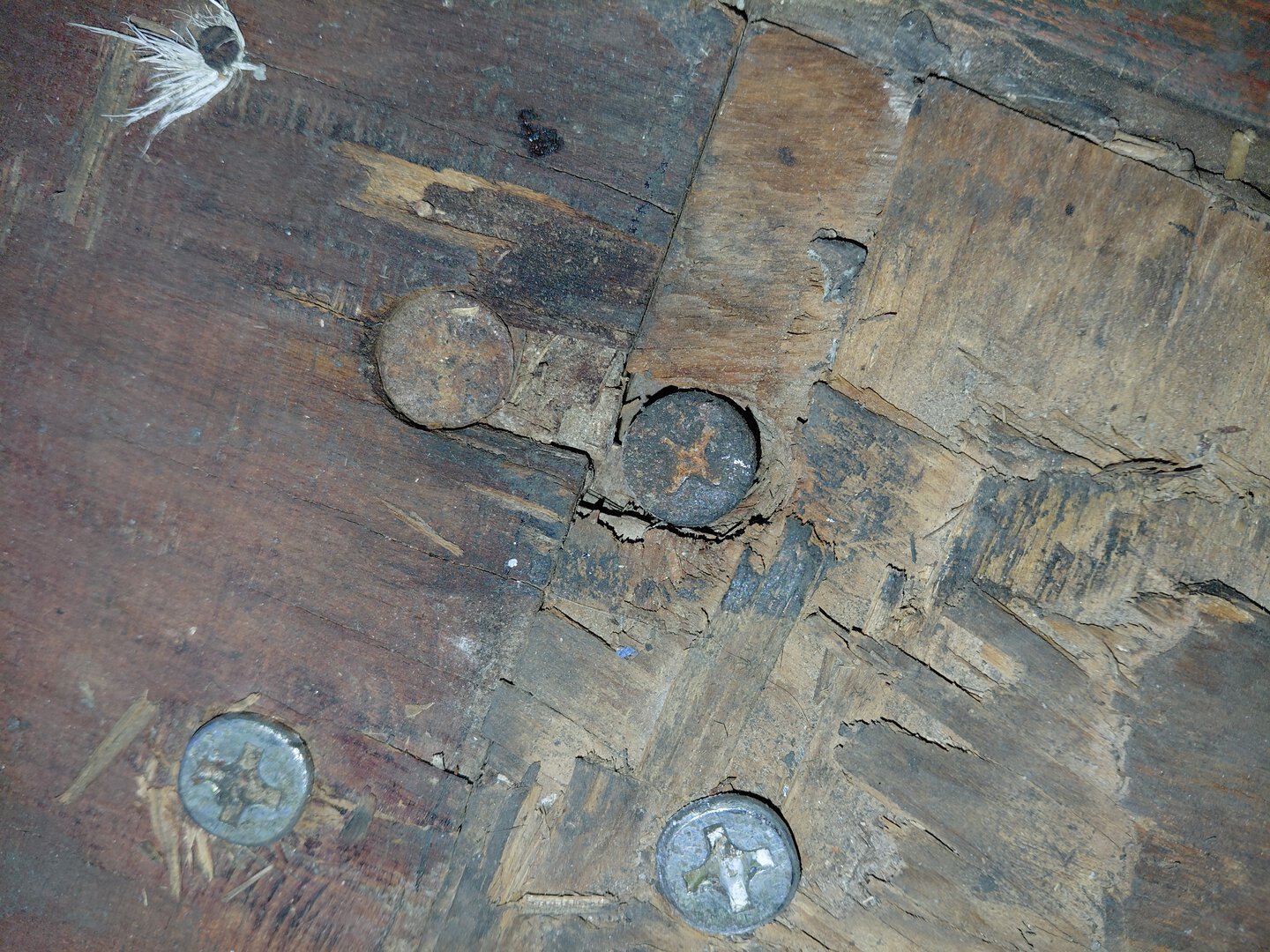 Морской контейнер BMOU2555273