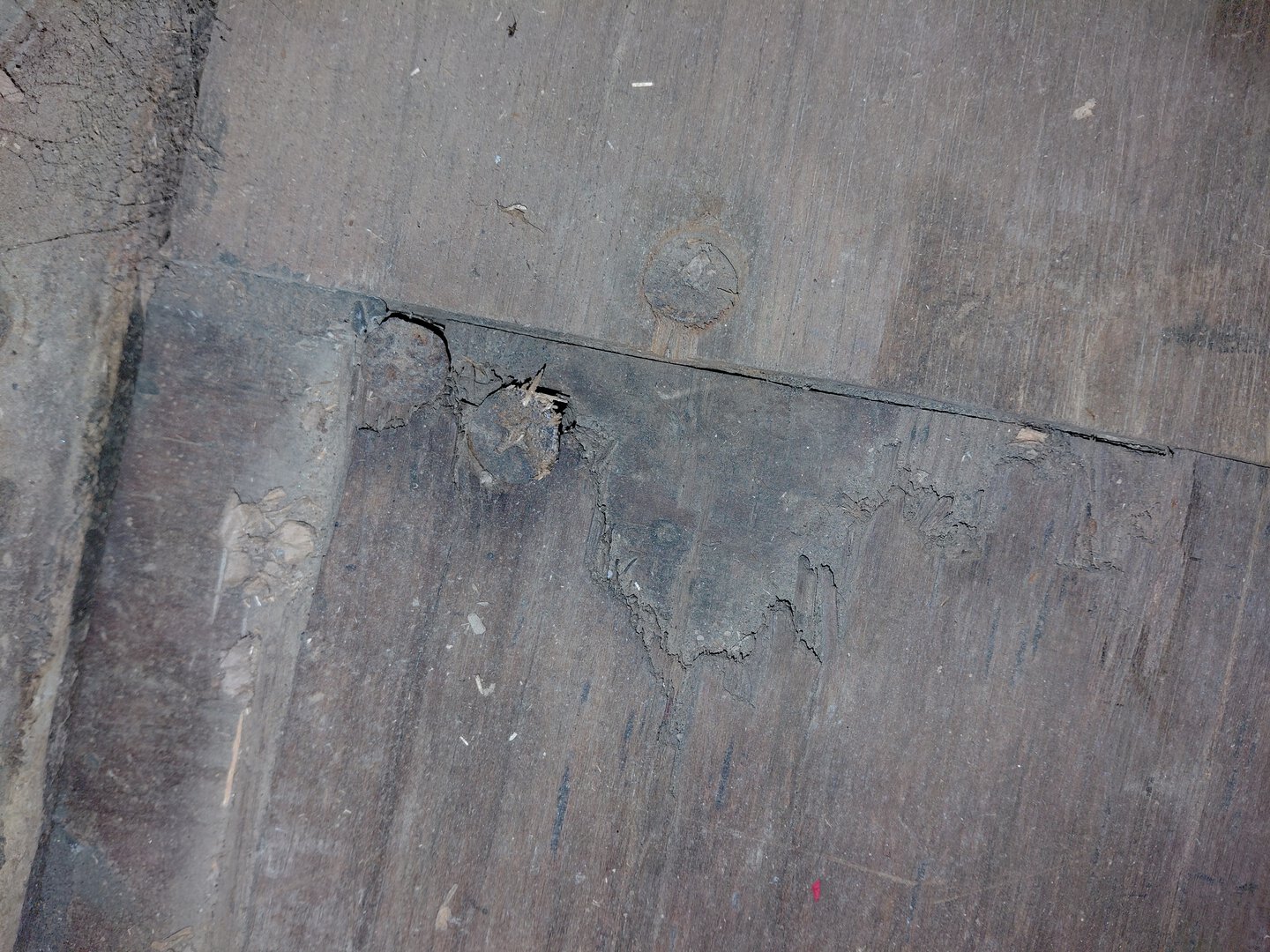 Морской контейнер BMOU2566196