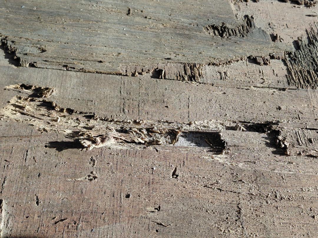 Морской контейнер BMOU2569148