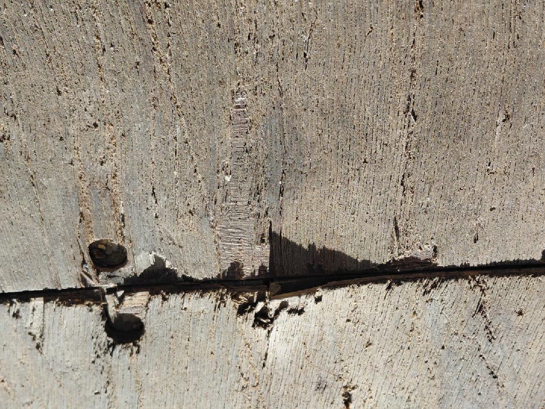 Морской контейнер BMOU2569148