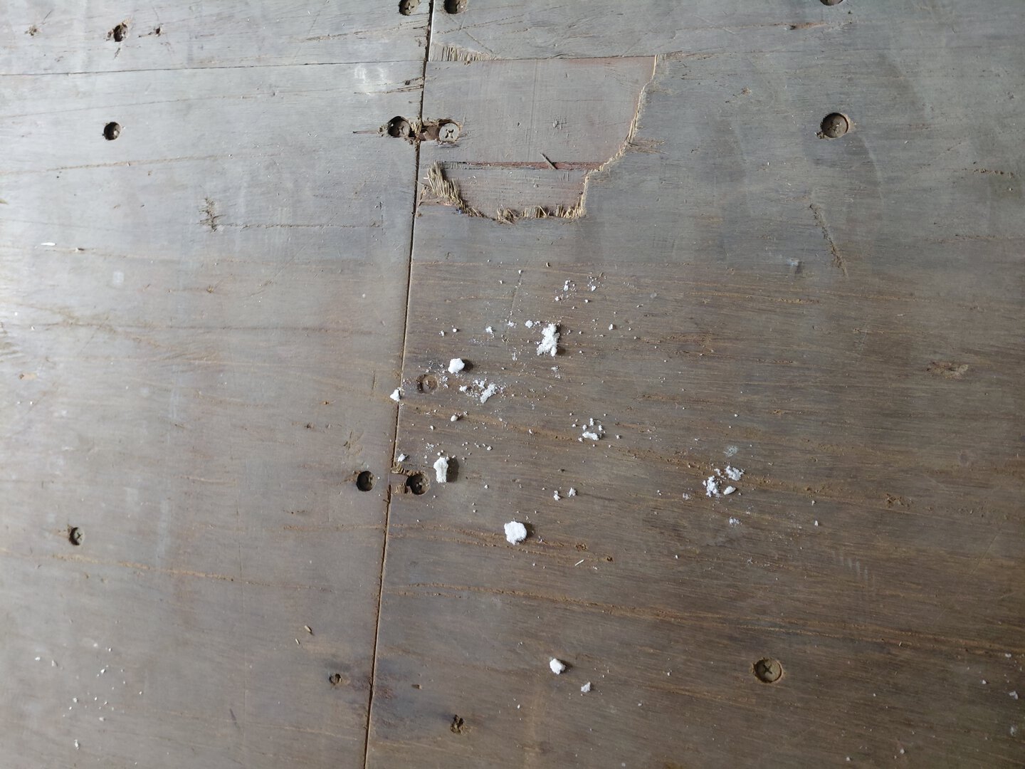 Морской контейнер BMOU2572537