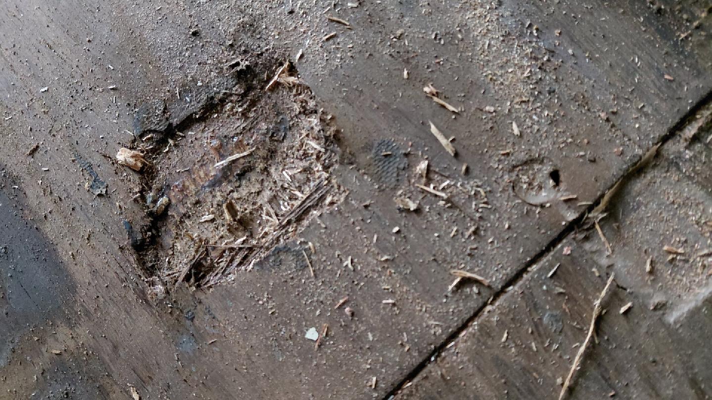 Морской контейнер BMOU2572769