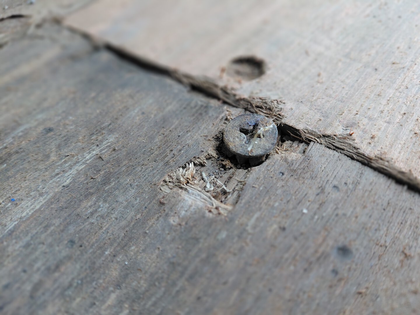 Морской контейнер BMOU2585880