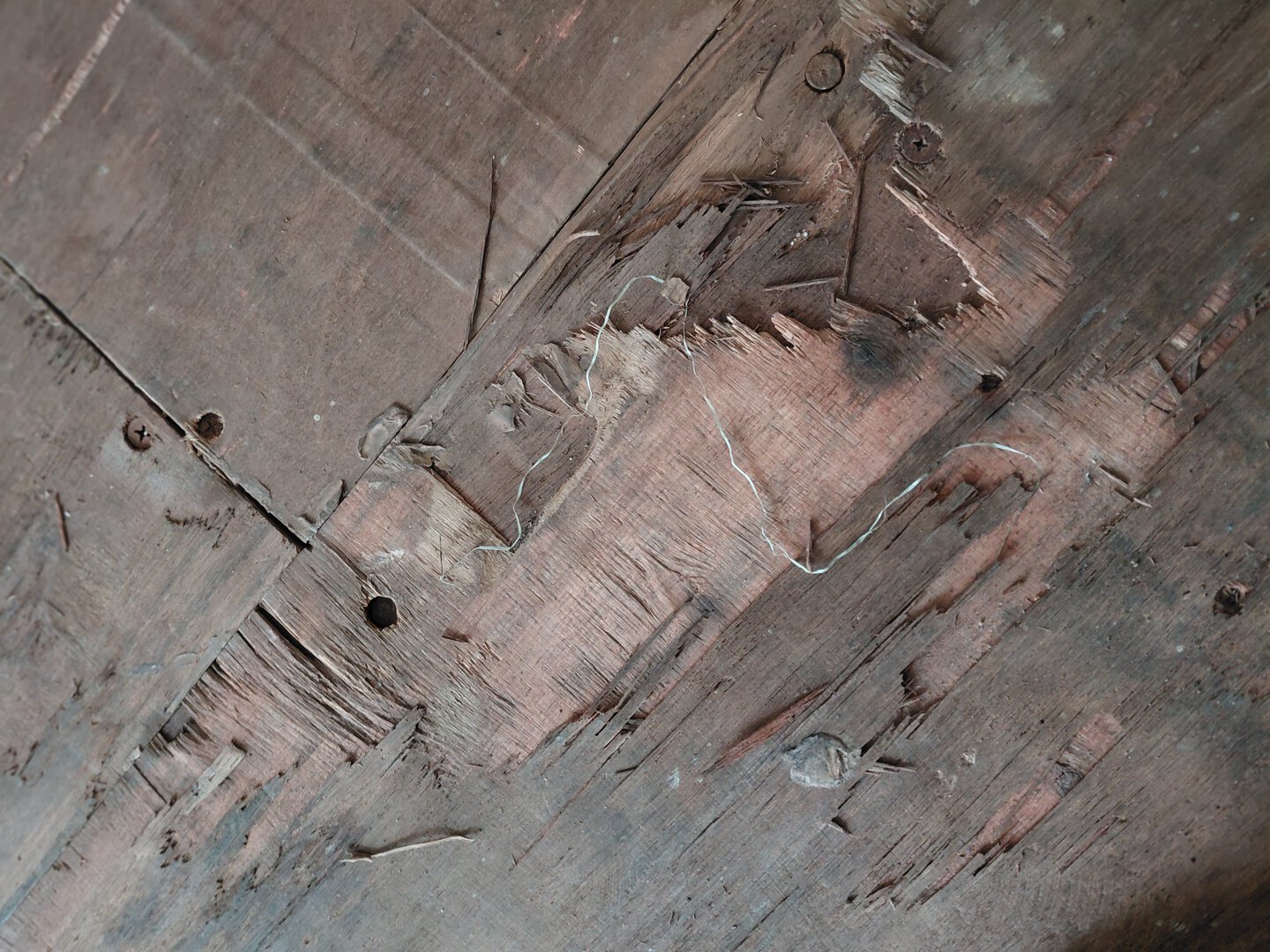 Морской контейнер BMOU2585880