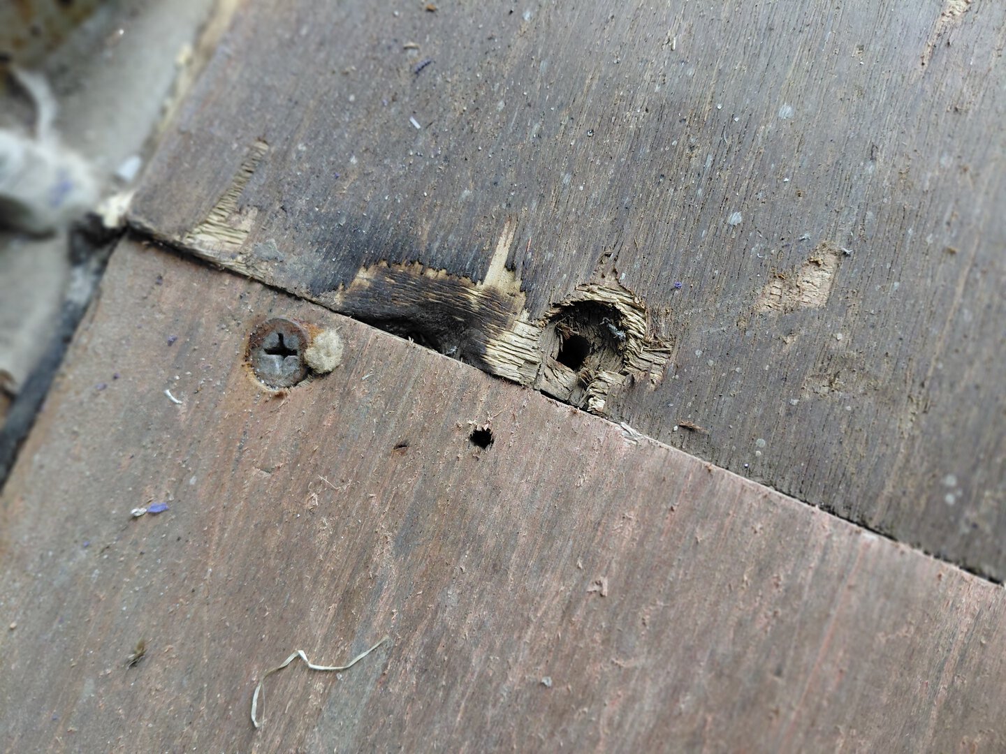 Морской контейнер BMOU2585880