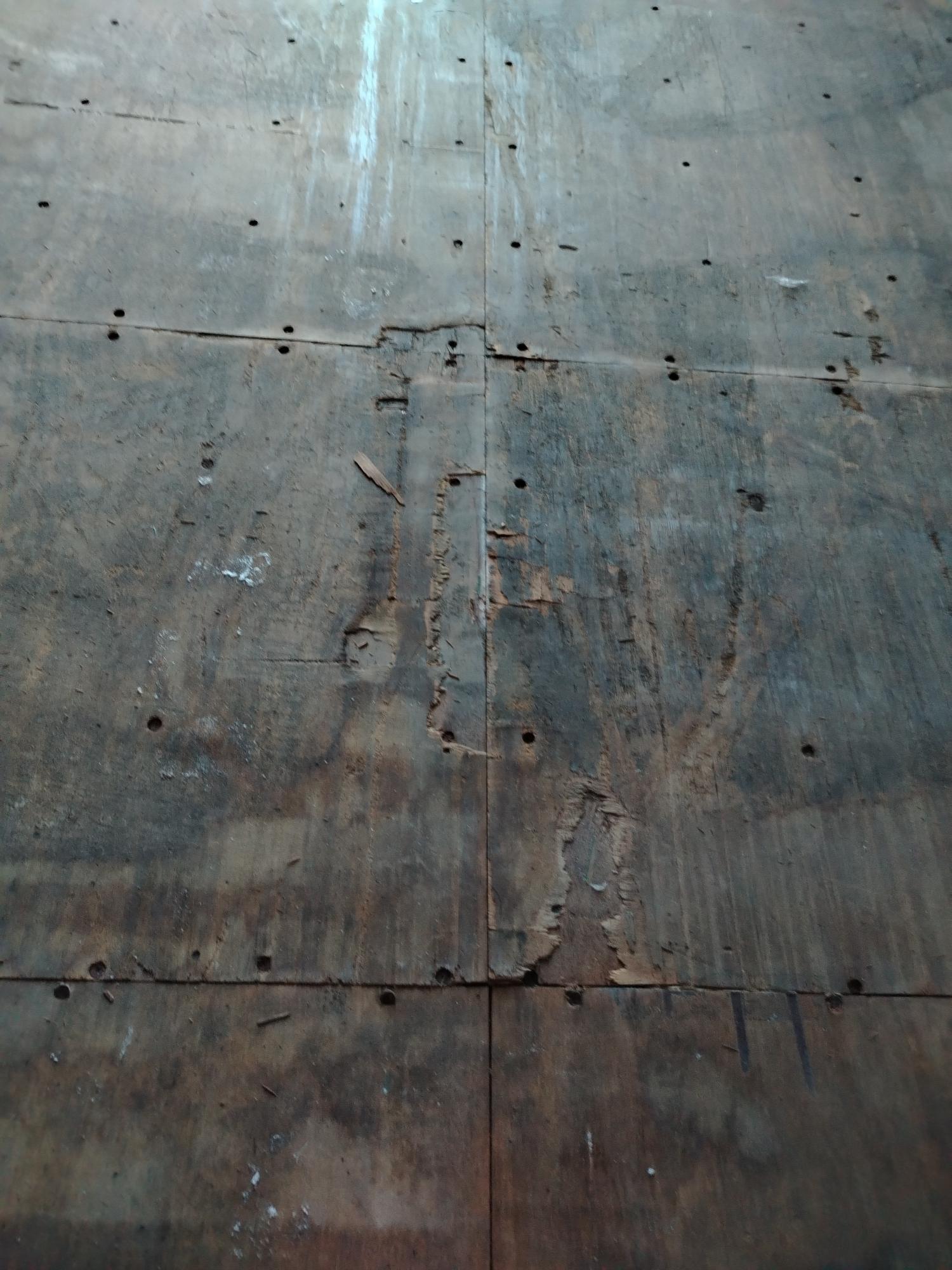 Морской контейнер BMOU2586058