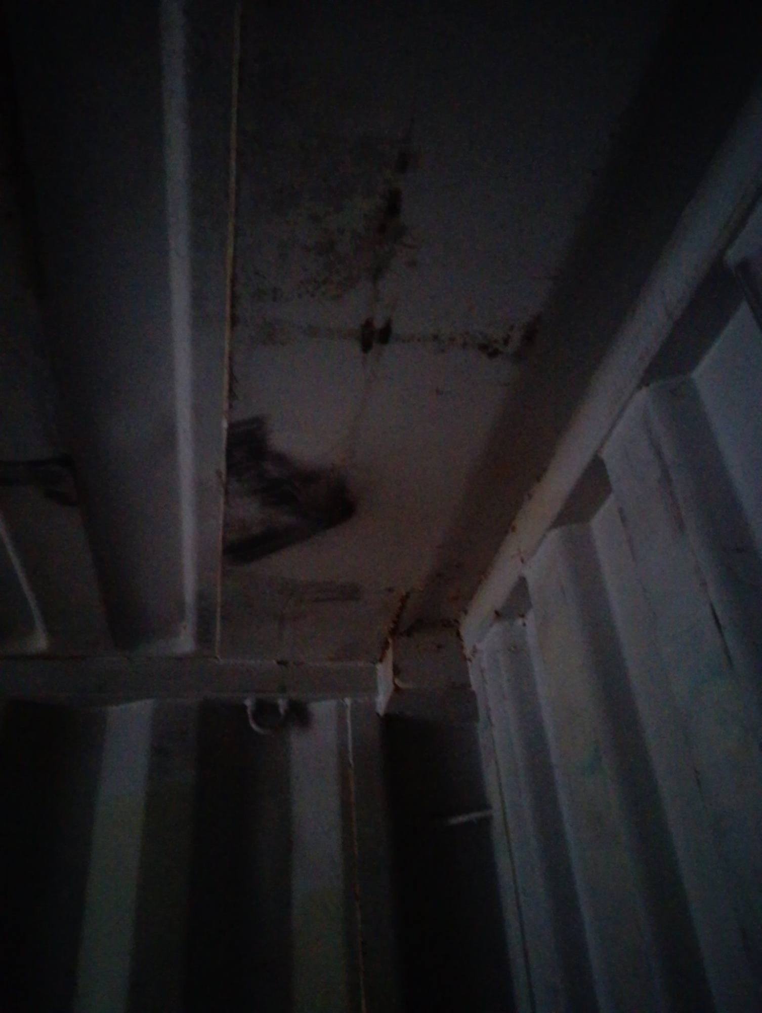 Морской контейнер BMOU2595907