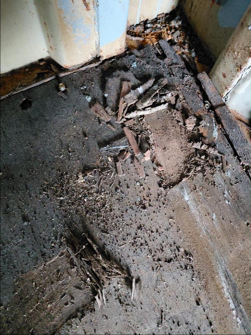 Морской контейнер BMOU2785039