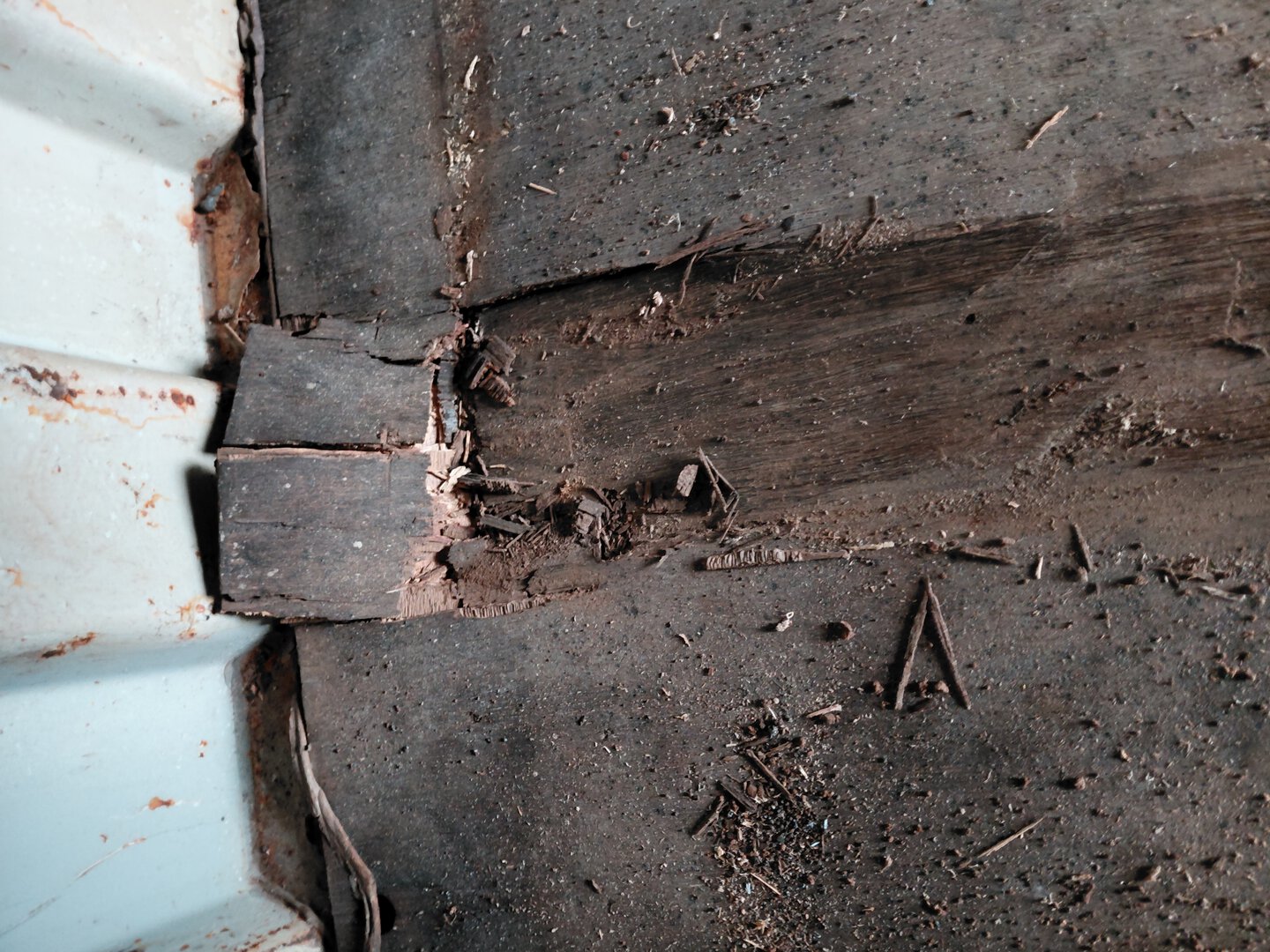 Морской контейнер BMOU2785039