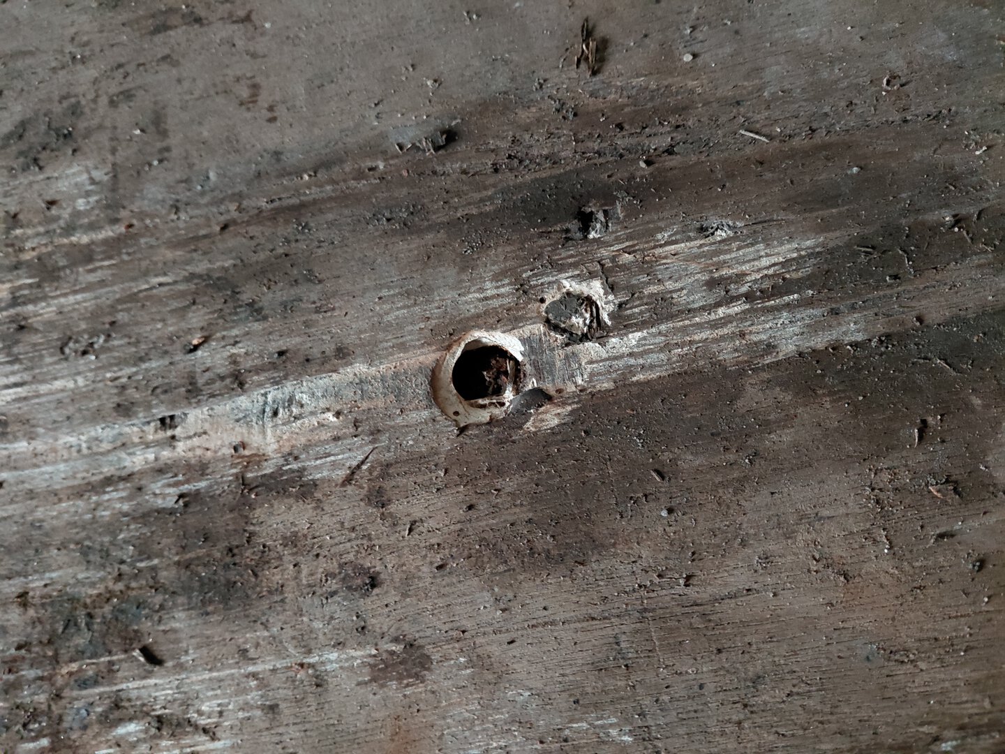 Морской контейнер BMOU2785039