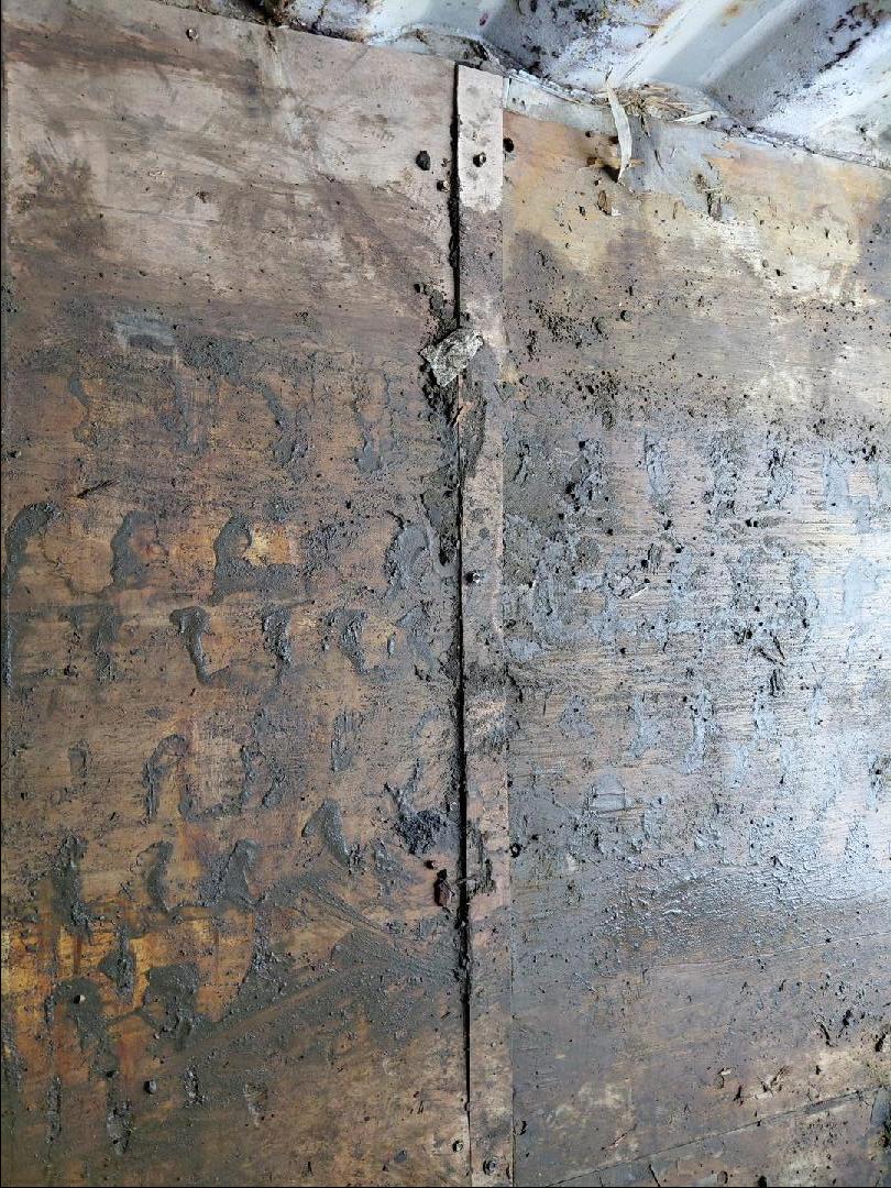 Морской контейнер BMOU2785039