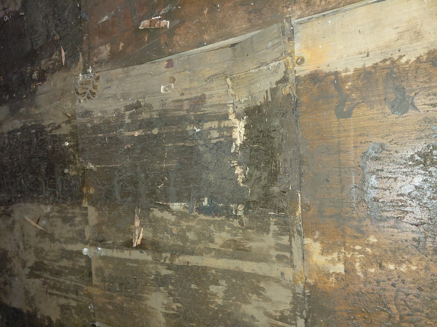 Морской контейнер BMOU2785039