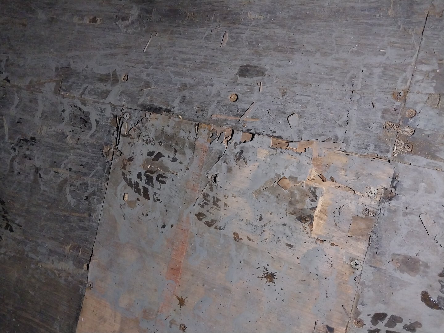 Морской контейнер BMOU2806569