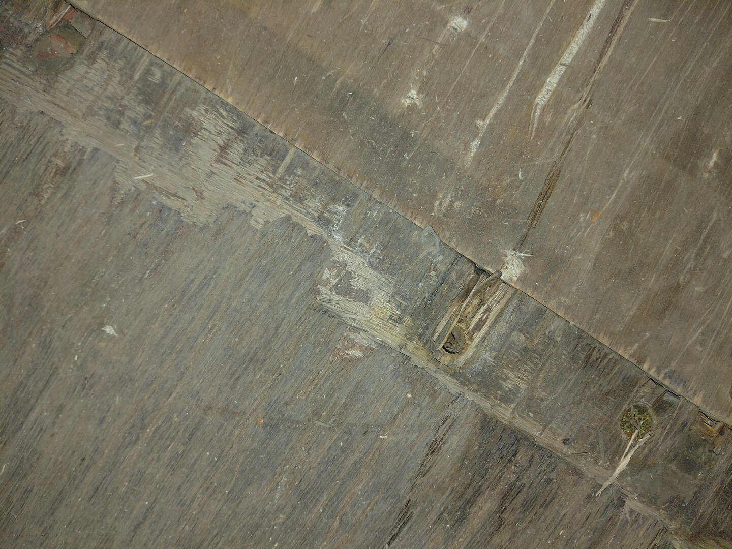 Морской контейнер BMOU2855162