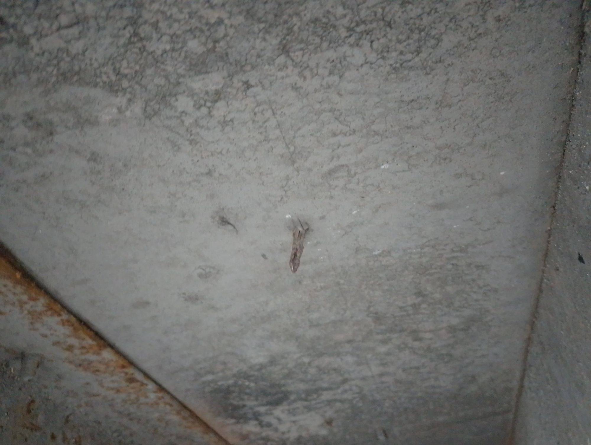 Морской контейнер BMOU2871815