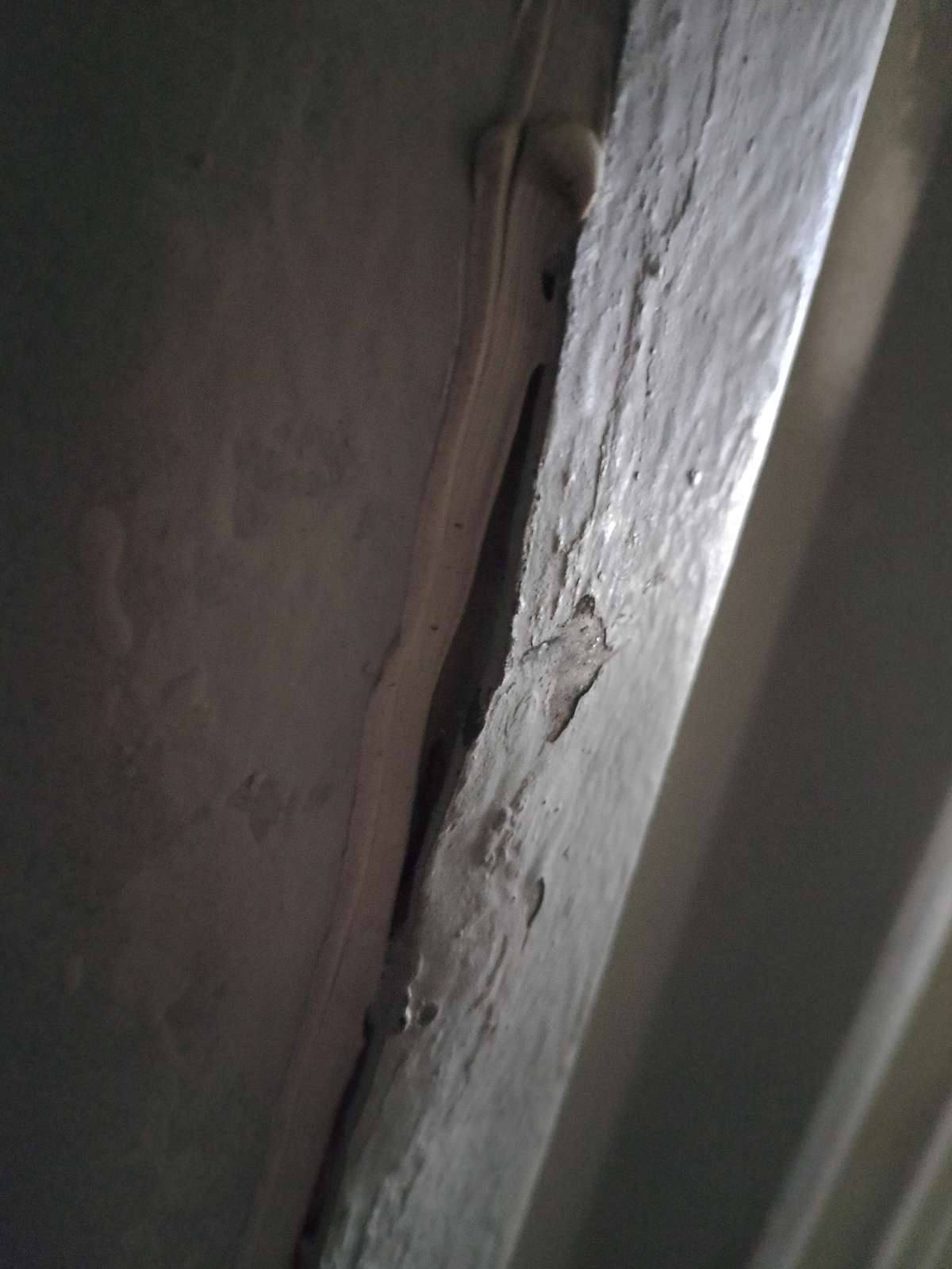 Морской контейнер BMOU2875298