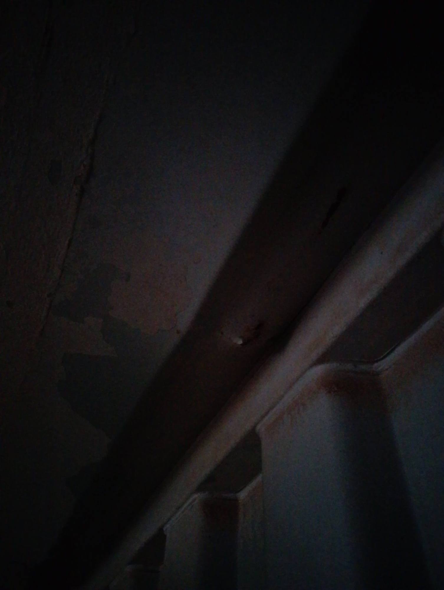 Морской контейнер CAIU2550902