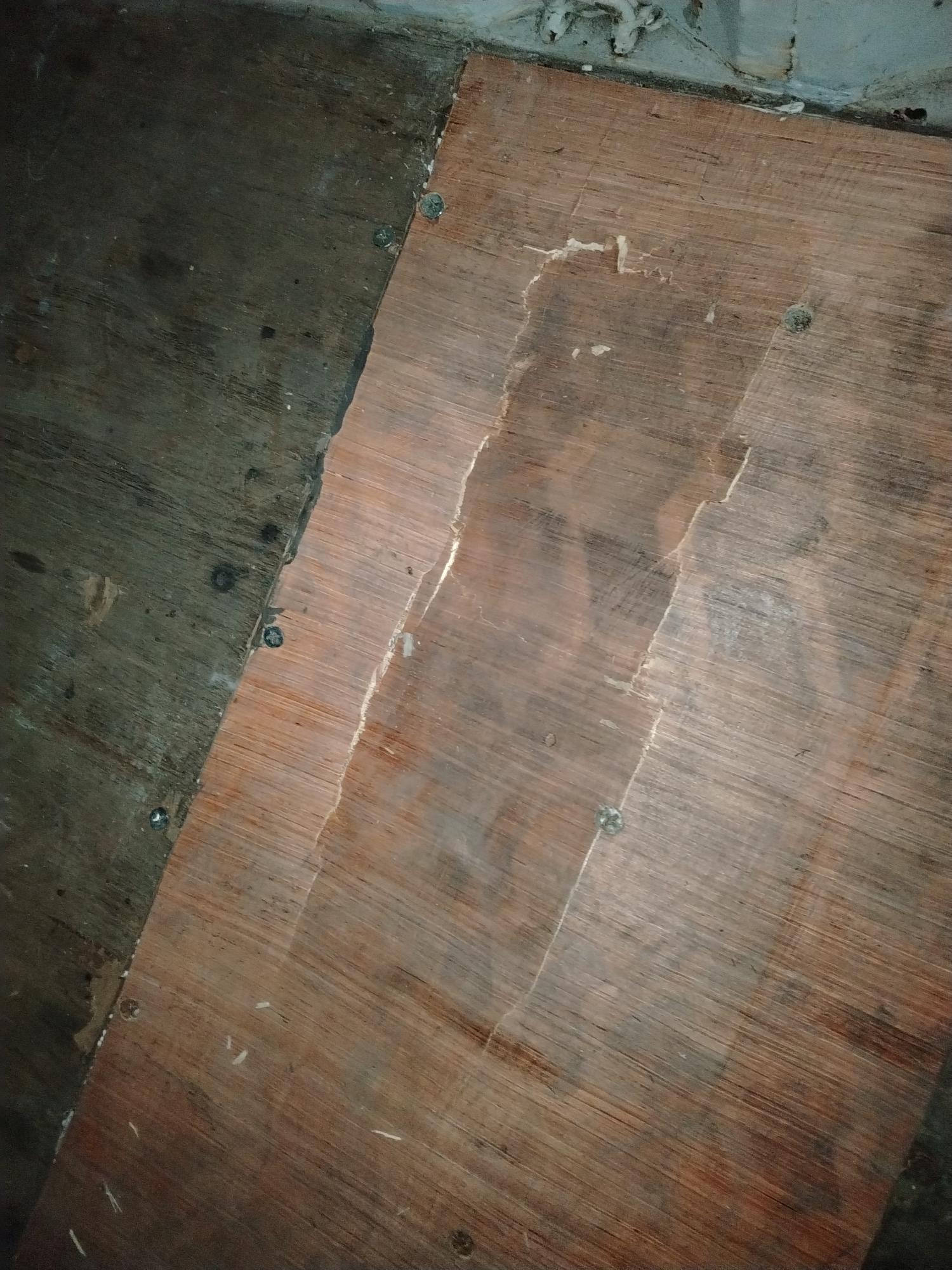 Морской контейнер CAIU2633951