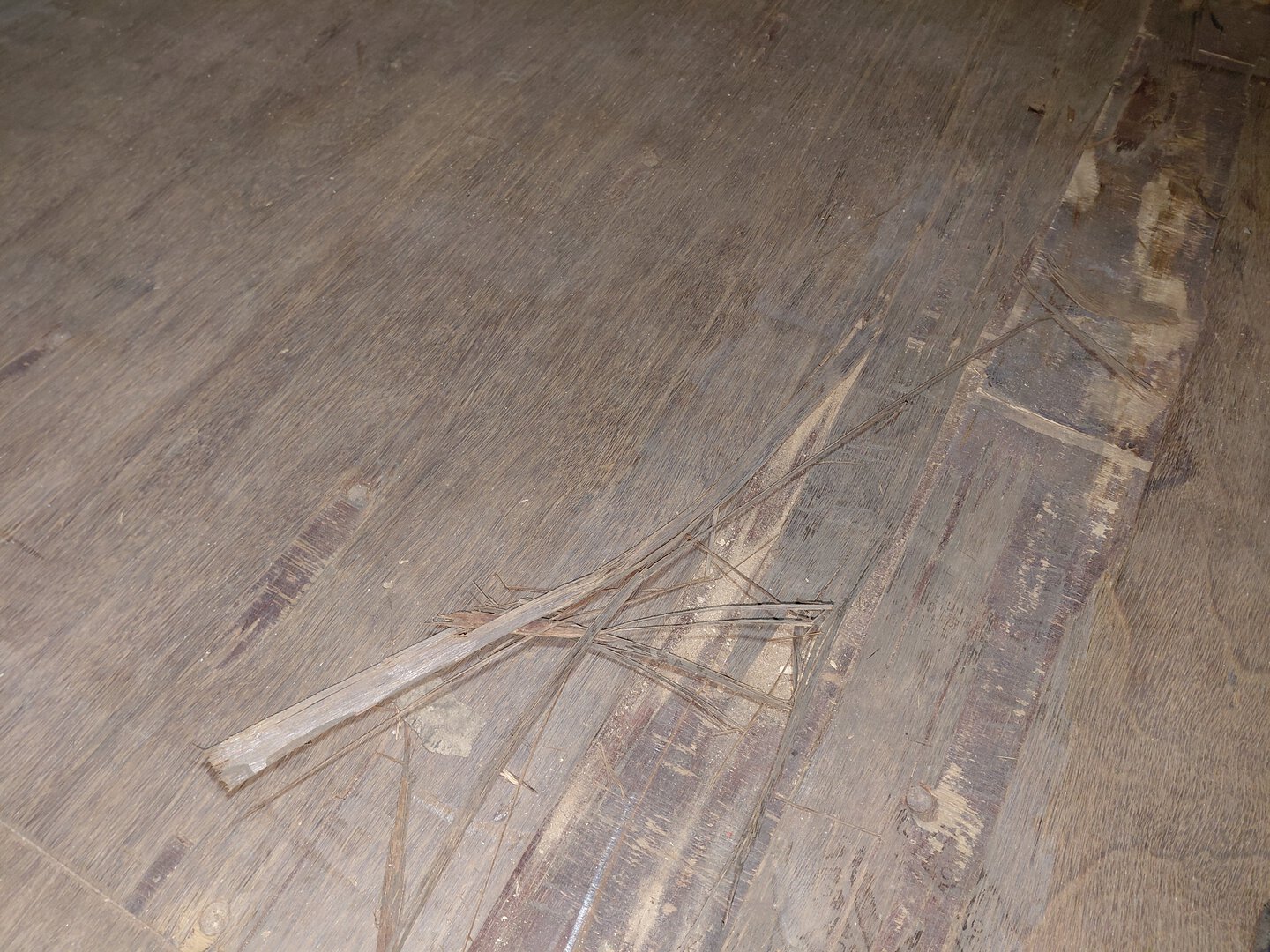 Морской контейнер CAIU2835952