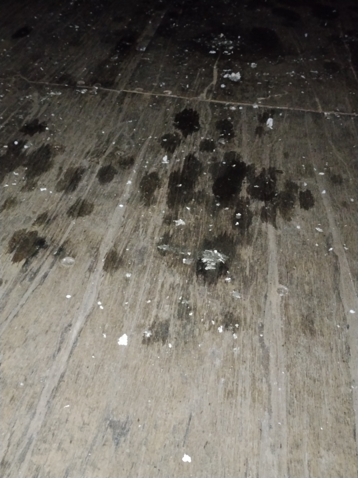 Морской контейнер CAIU2850788