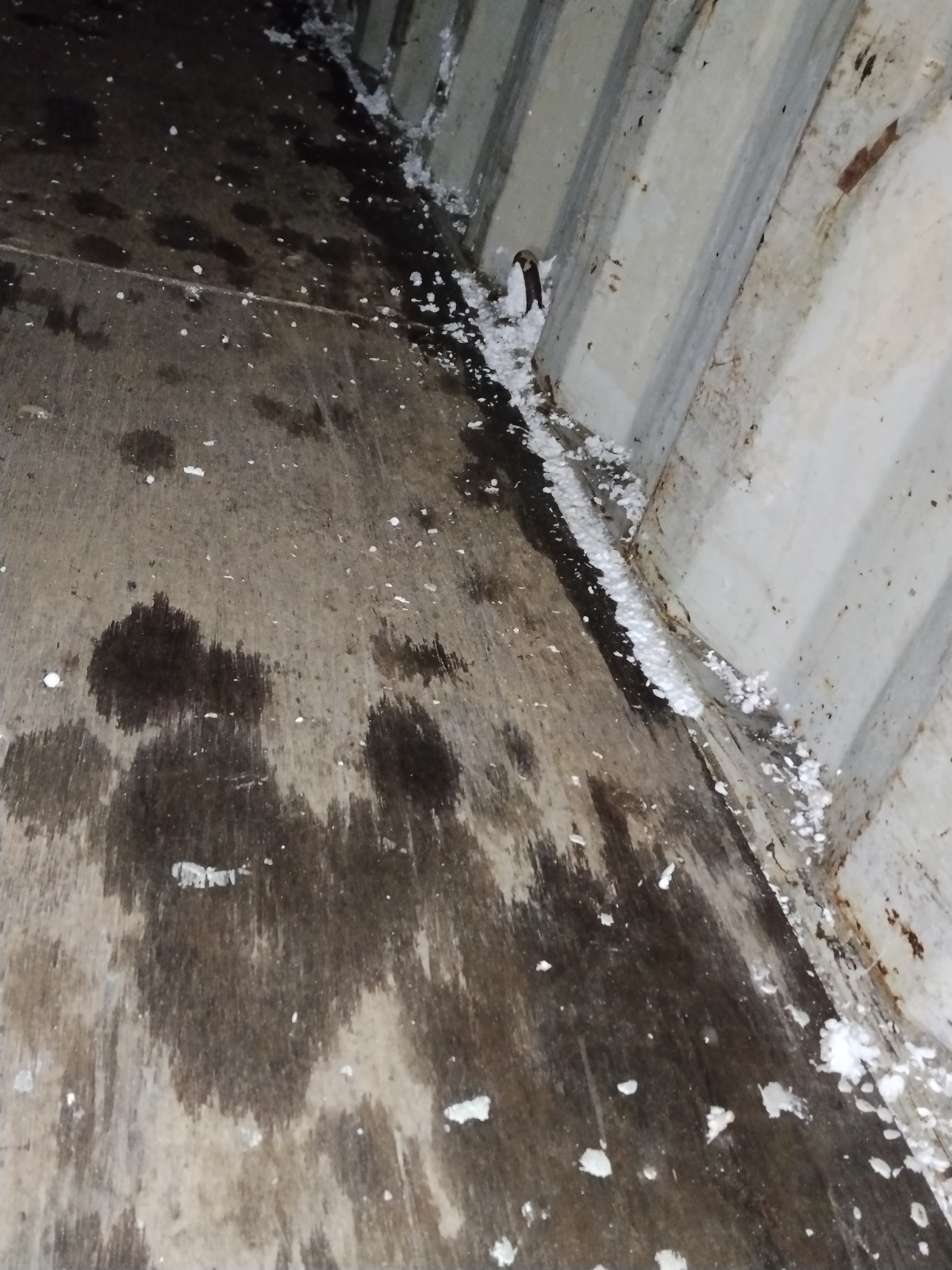 Морской контейнер CAIU2850788