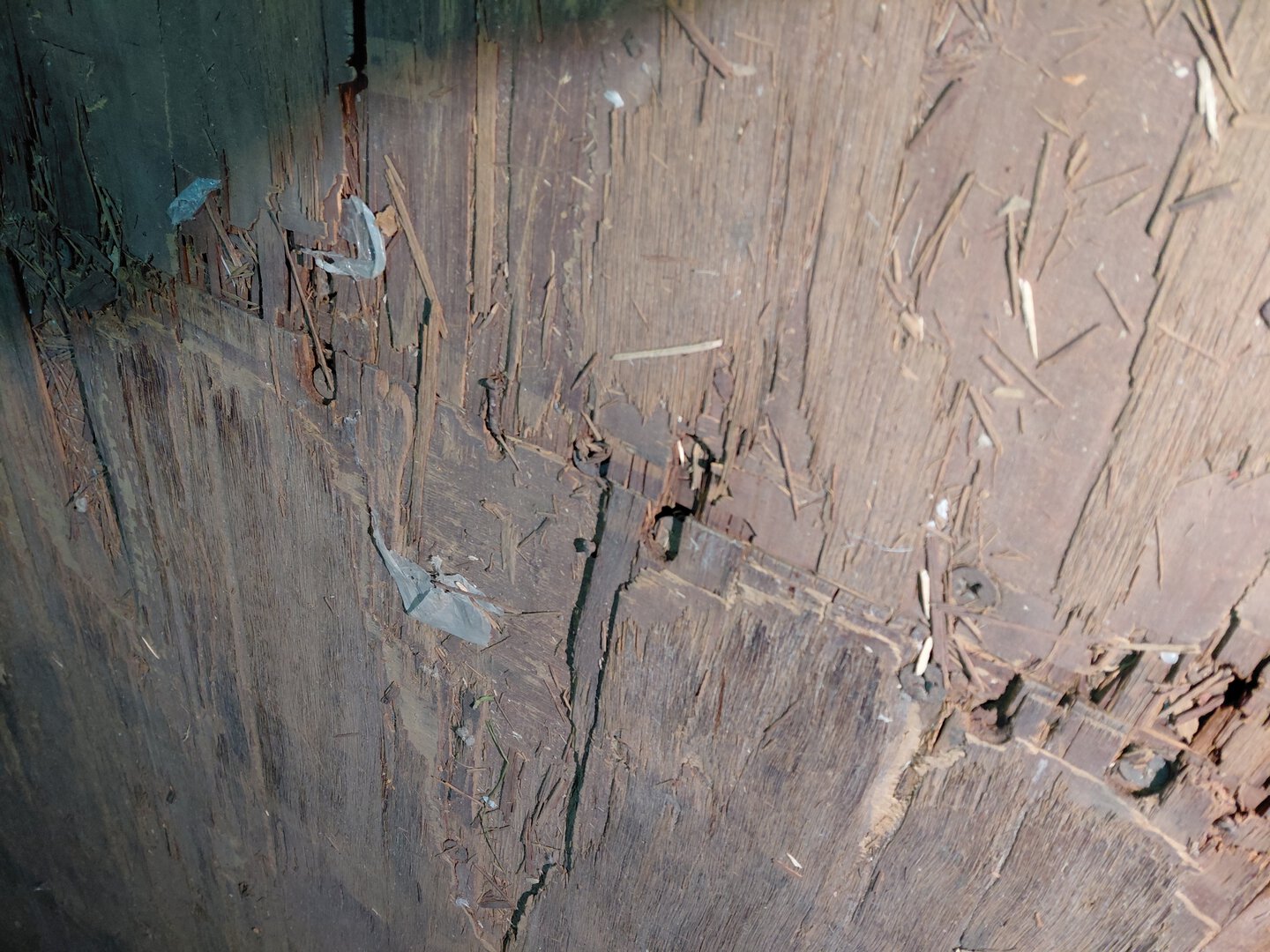 Морской контейнер CAIU8271269