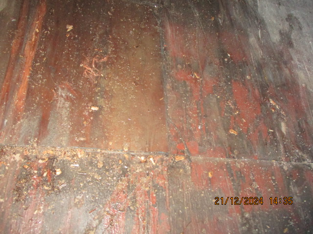 Морской контейнер CAIU8343651