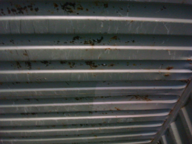 Морской контейнер CAIU8558011