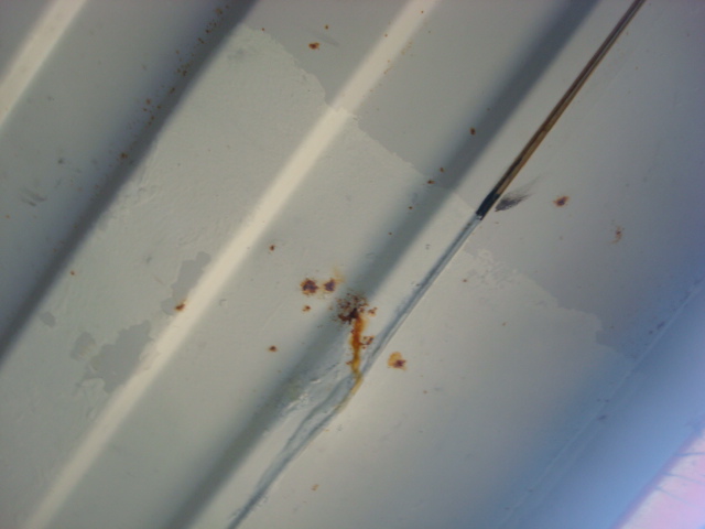 Морской контейнер CAXU9182580