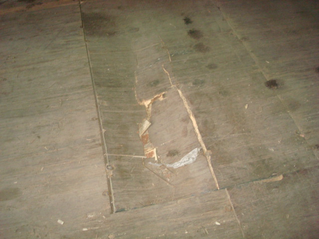 Морской контейнер CAXU9371731