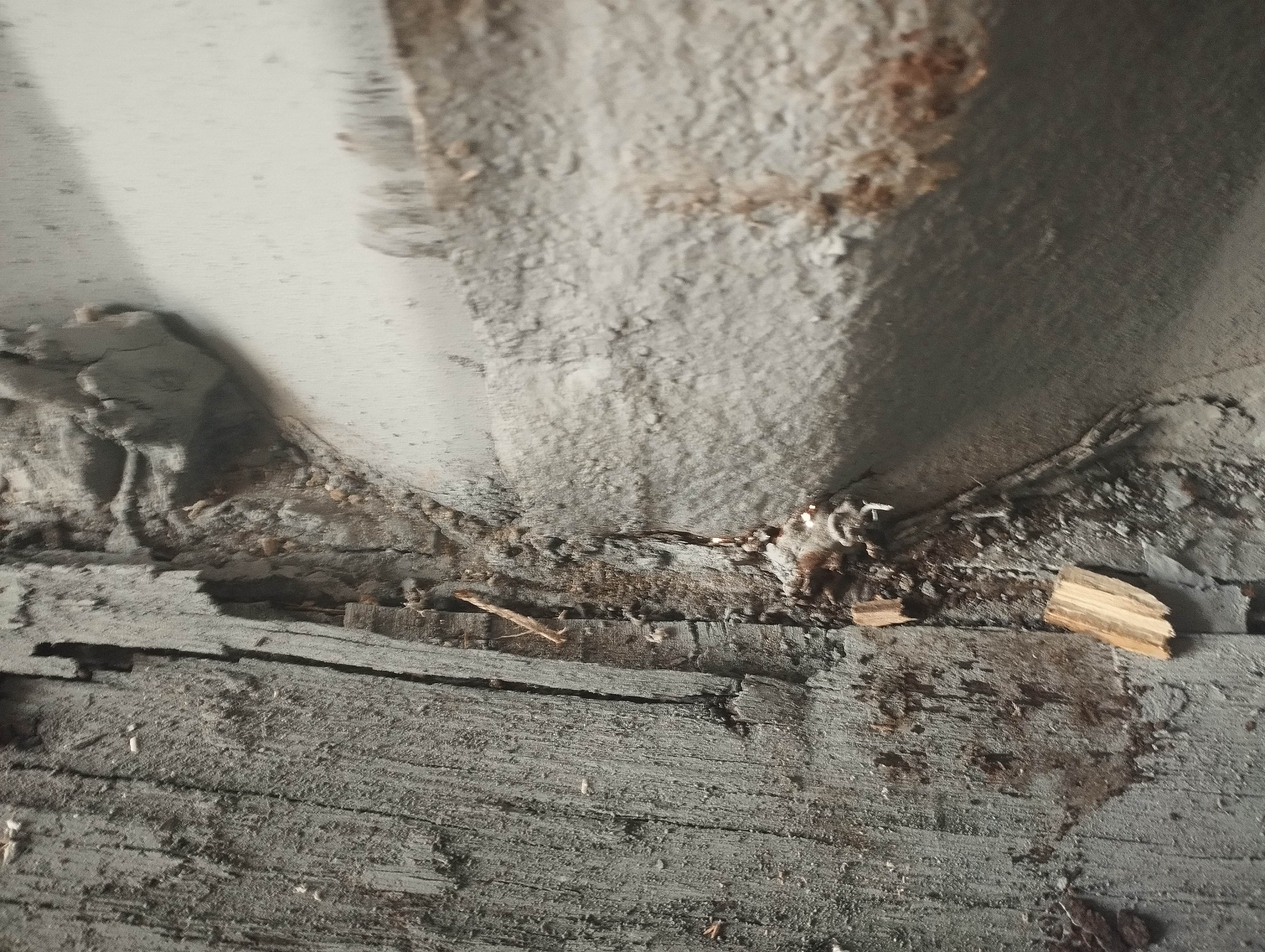 Морской контейнер CBHU3964229