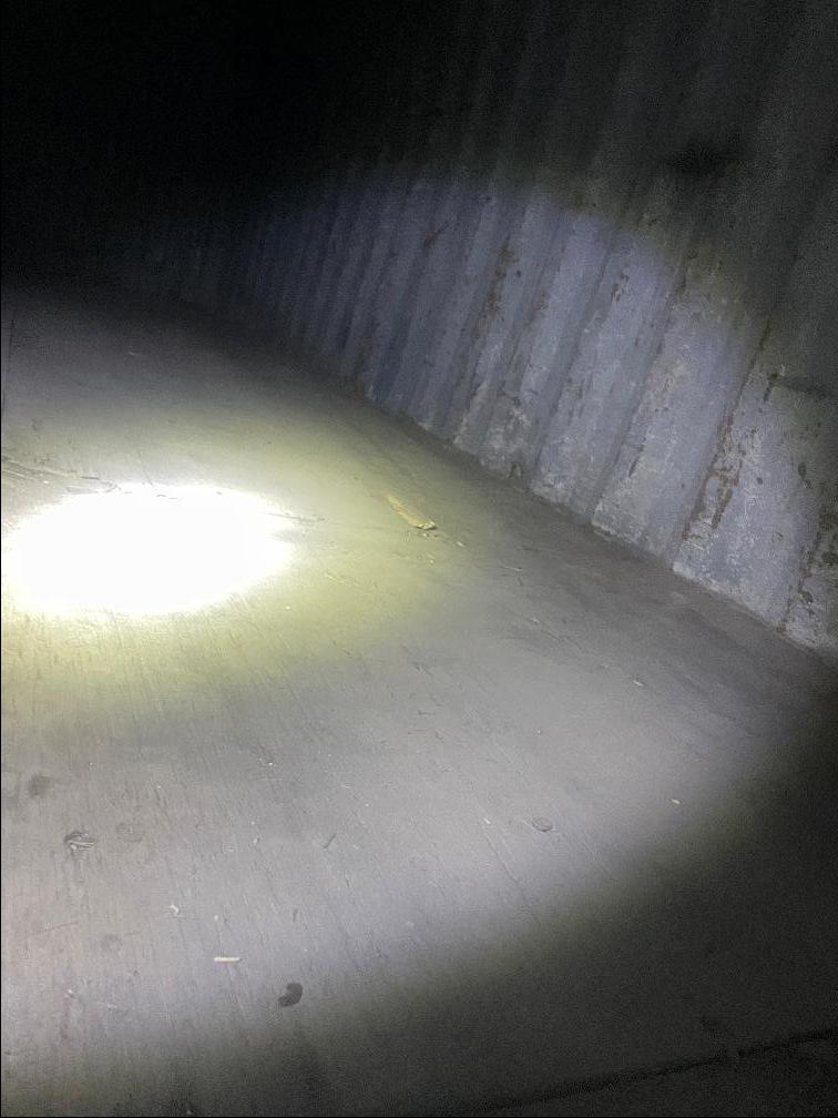 Морской контейнер CBHU5608612