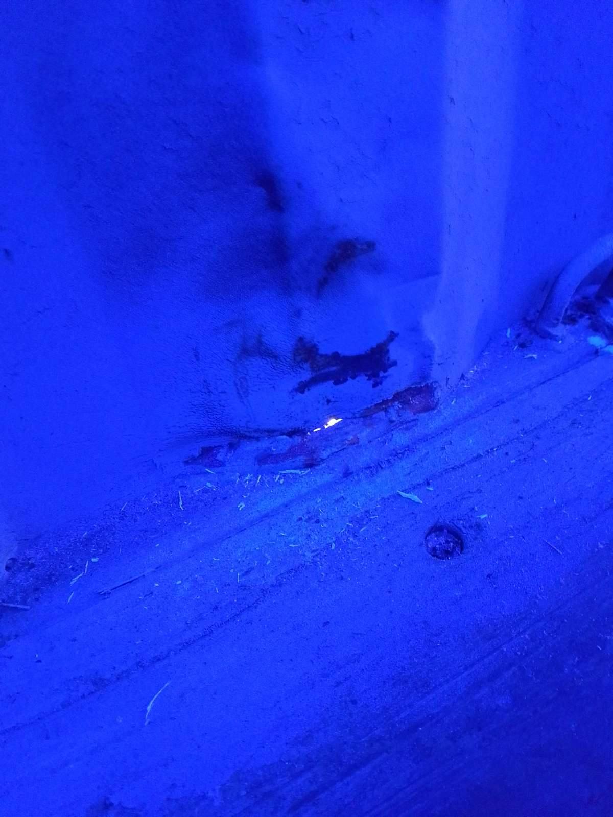 Морской контейнер CICU1915390