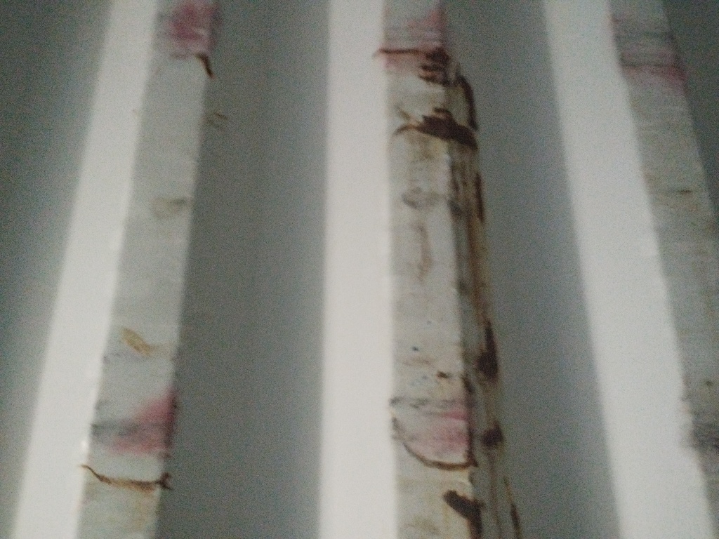 Морской контейнер CICU1917541