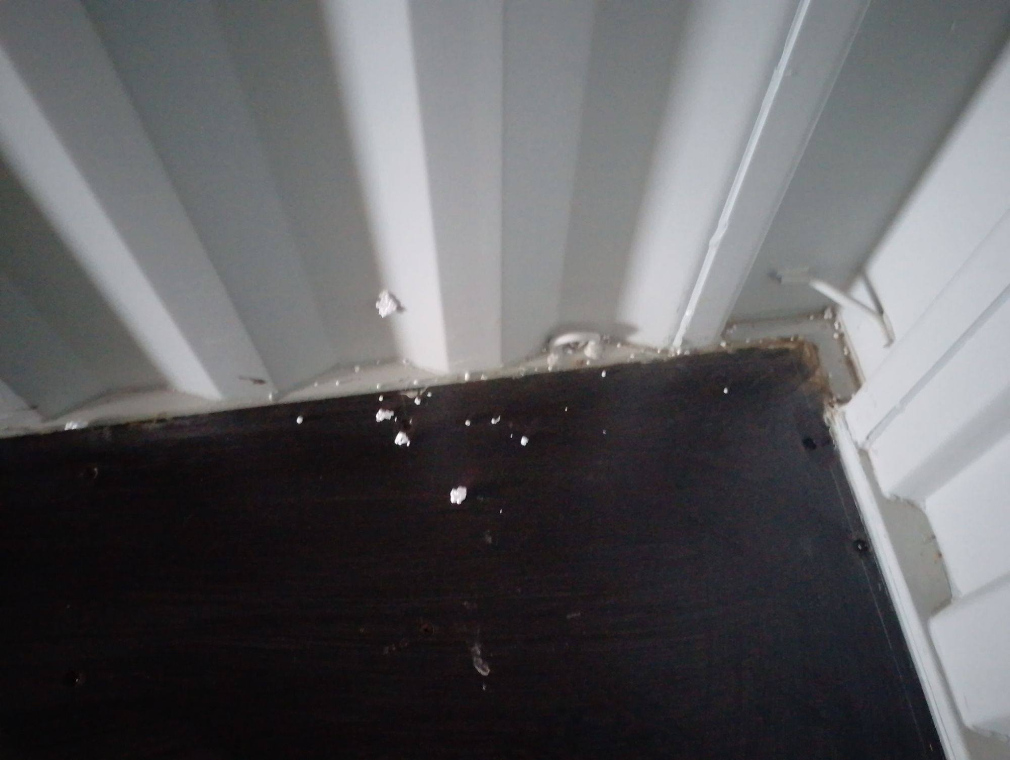 Морской контейнер CICU5658449