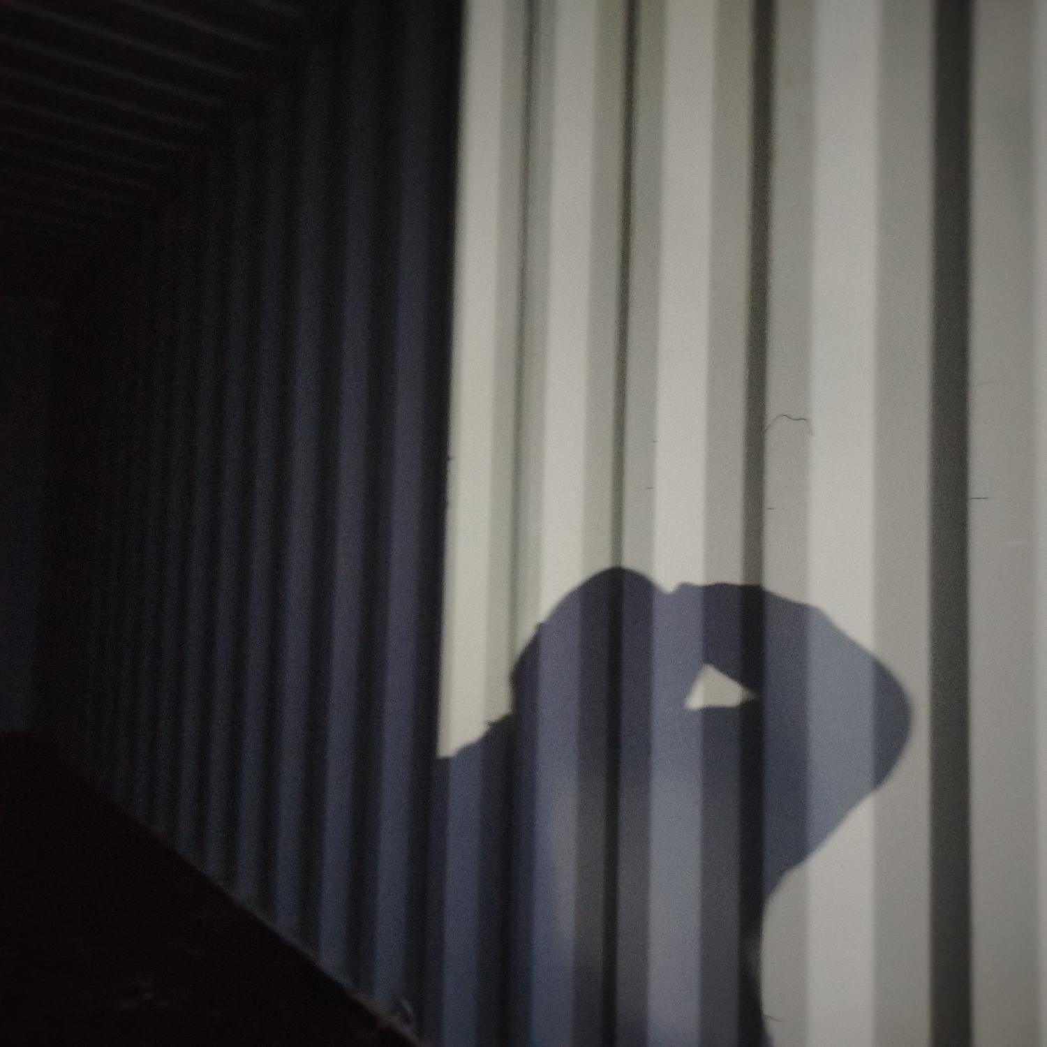 Морской контейнер CICU6493195