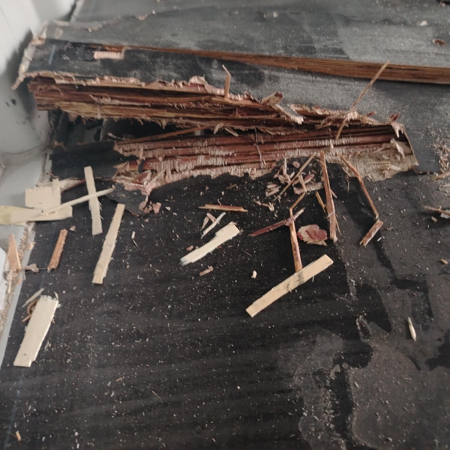 Морской контейнер CICU6494062