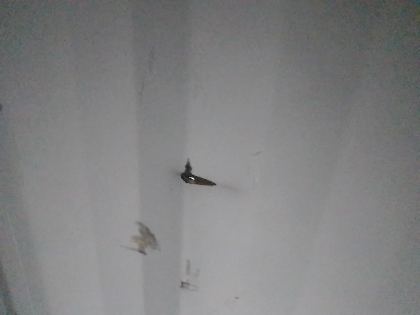 Морской контейнер CICU6729700