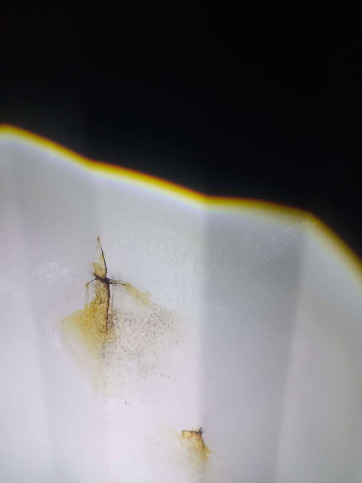 Морской контейнер CICU6731570