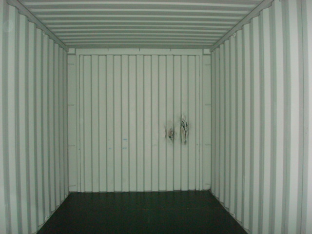 Морской контейнер CICU6731781