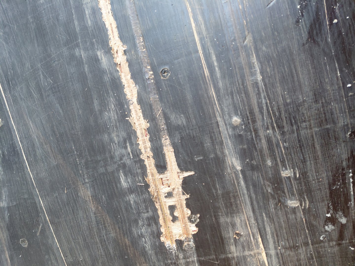 Морской контейнер CICU6741183