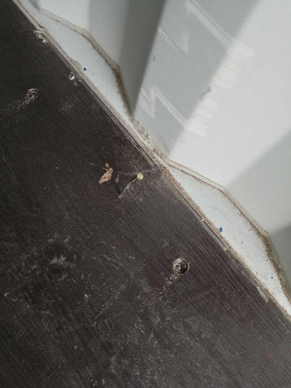 Морской контейнер CICU6742657